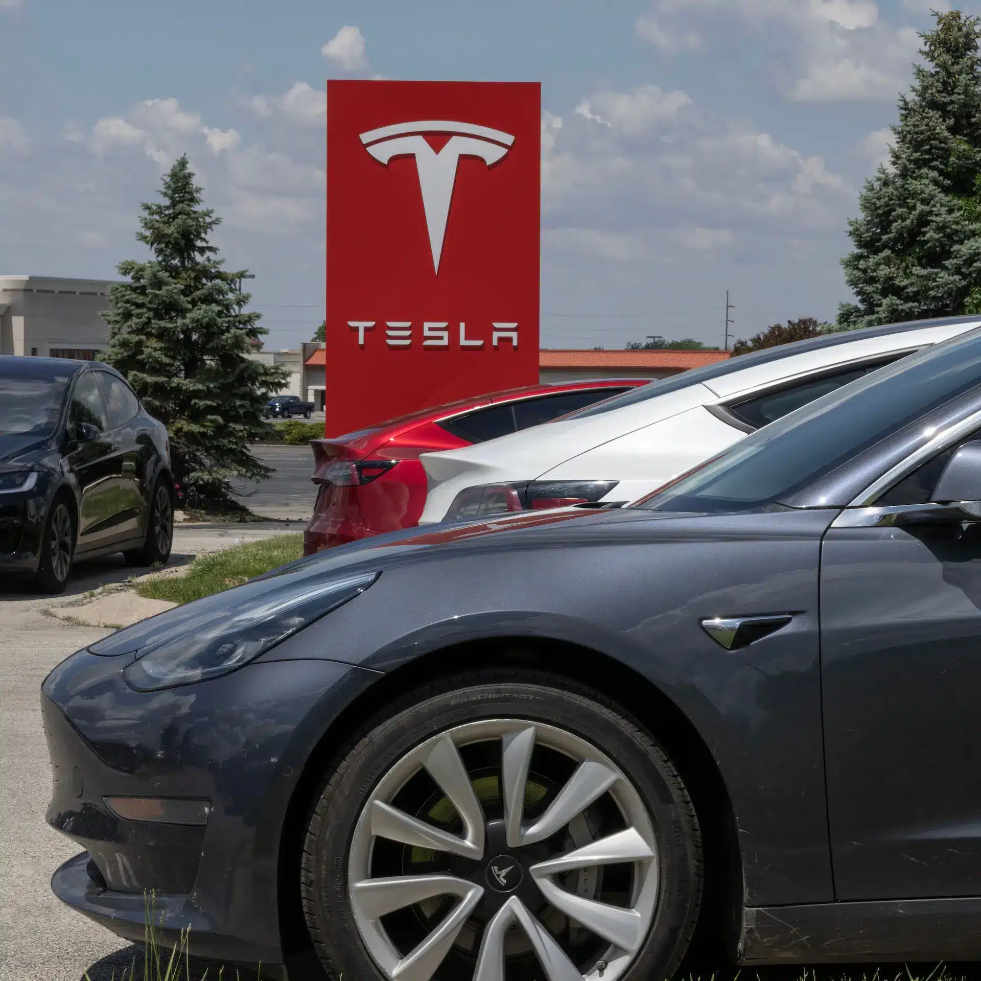 Teslas parked at a dealership