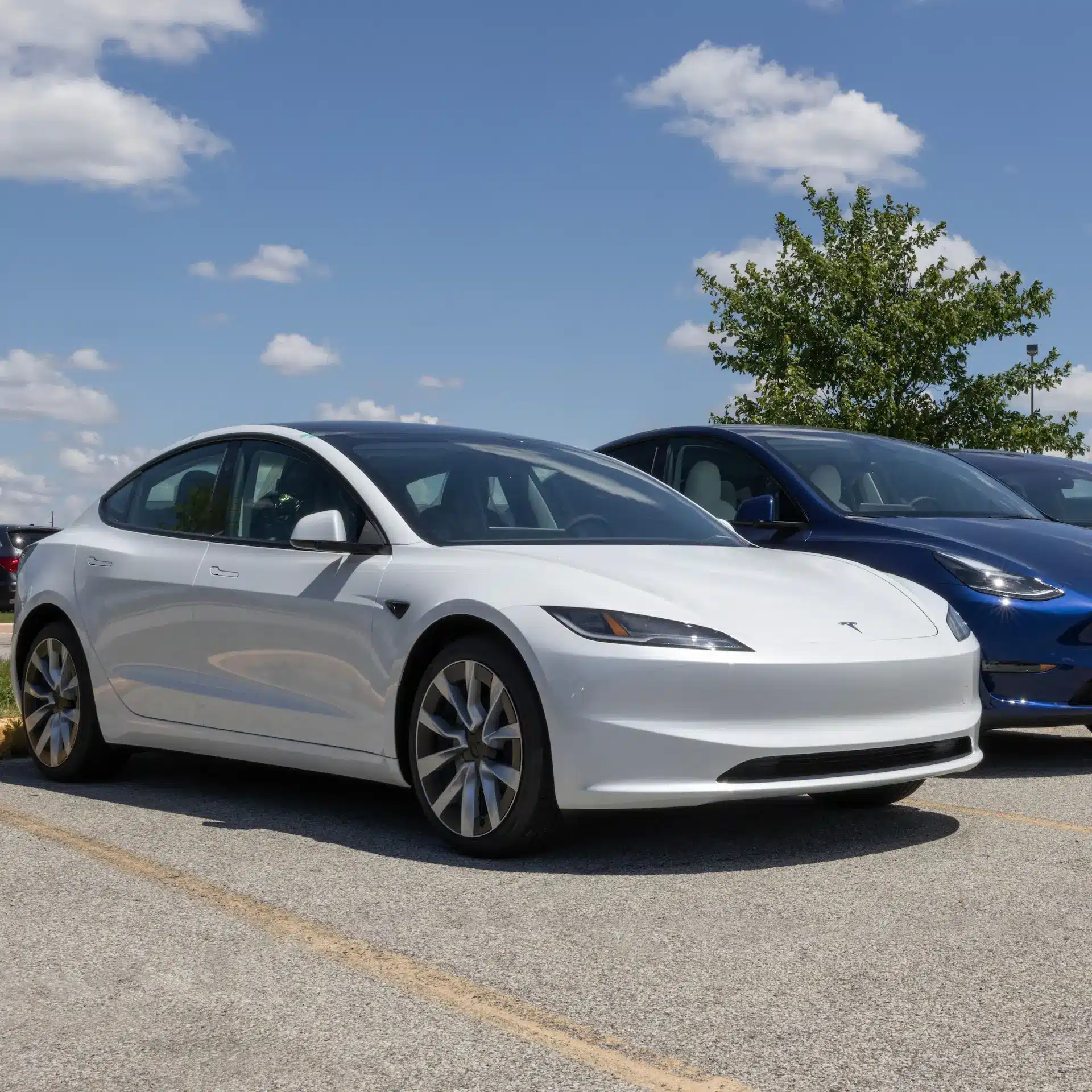 A white Tesla Model Y parked next to other Tesla models